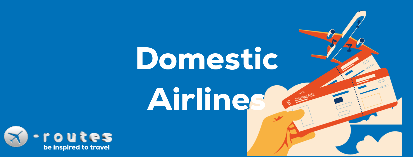 What are the official domestic airlines to fly from Nigeria?